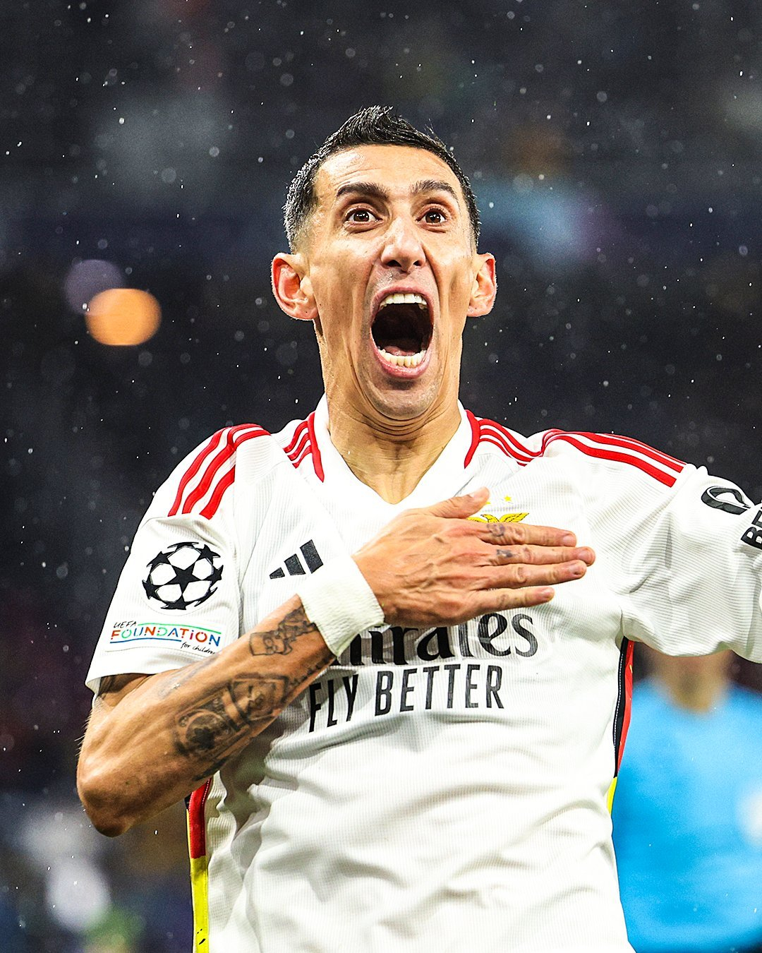 本菲卡迎欧联关键赛，冲刺阶段主帅复盘，底气十足，赛程密集仍需轮换的简单介绍